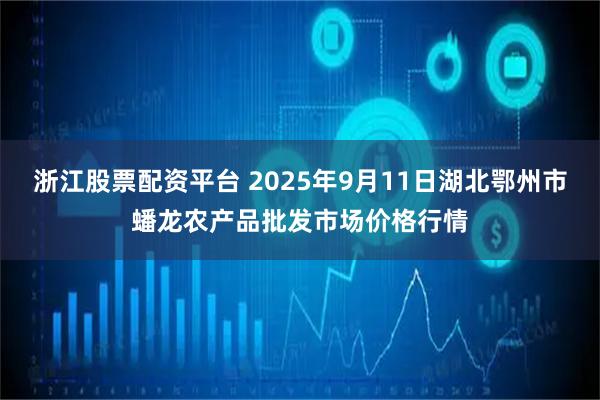 浙江股票配资平台 2025年9月11日湖北鄂州市蟠龙农产品批发市场价格行情