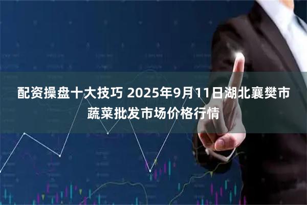 配资操盘十大技巧 2025年9月11日湖北襄樊市蔬菜批发市场价格行情
