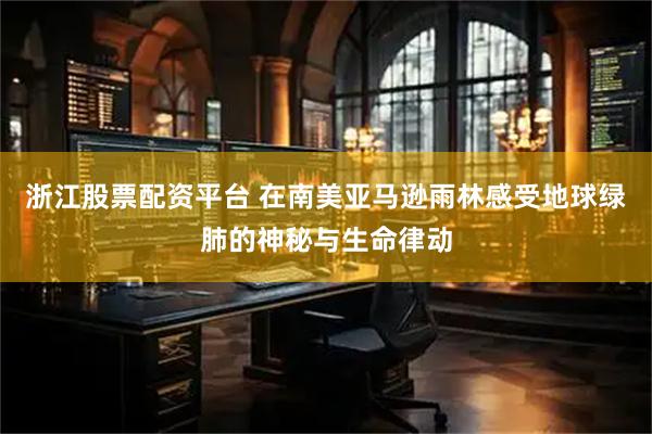 浙江股票配资平台 在南美亚马逊雨林感受地球绿肺的神秘与生命律动