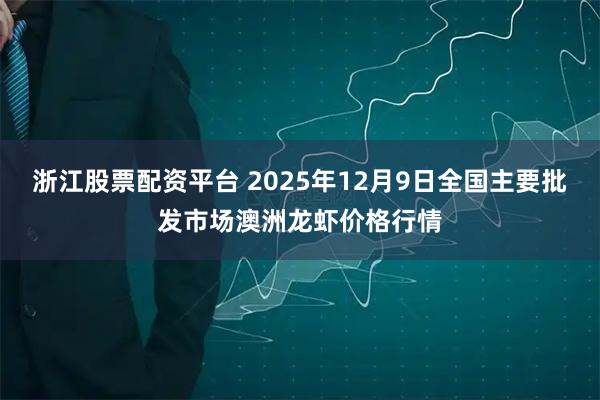 浙江股票配资平台 2025年12月9日全国主要批发市场澳洲龙虾价格行情