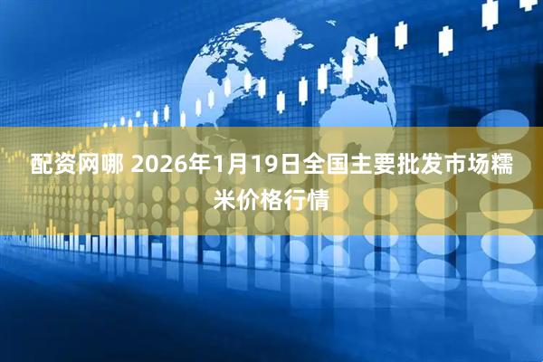 配资网哪 2026年1月19日全国主要批发市场糯米价格行情