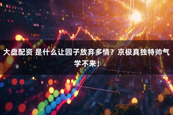 大盘配资 是什么让园子放弃多情？京极真独特帅气学不来！
