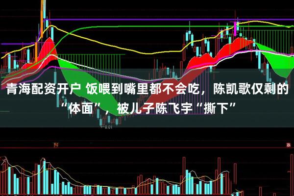 青海配资开户 饭喂到嘴里都不会吃，陈凯歌仅剩的“体面”，被儿子陈飞宇“撕下”