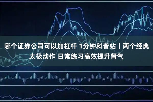 哪个证券公司可以加杠杆 1分钟科普站丨两个经典太极动作 日常练习高效提升肾气